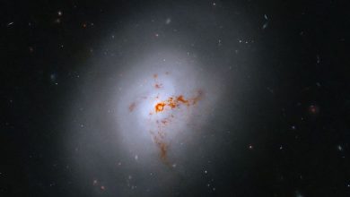 Галактика NGC 1266