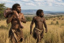 Двое первобытных людей, похожих на ранних Homo