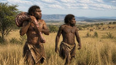 Двое первобытных людей, похожих на ранних Homo