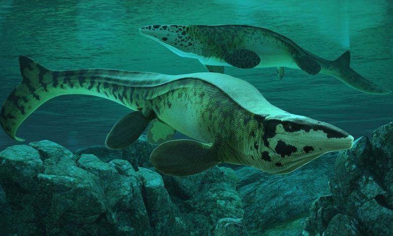 Tylosaurus rex