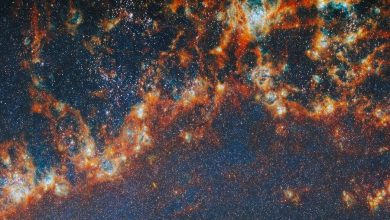 фрагмент одного из спиральных рукавов галактики Мессье 51 (M51)