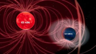 взаимодействия звезды и экзопланеты GJ 436 и GJ 436 b