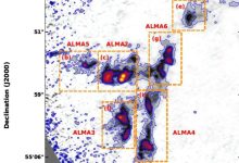 группы типа ALMA2, ALMA3, ALMA4, ALMA6