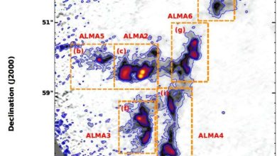 группы типа ALMA2, ALMA3, ALMA4, ALMA6