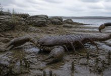 Гигантский доисторический скорпион Praearcturus gigas