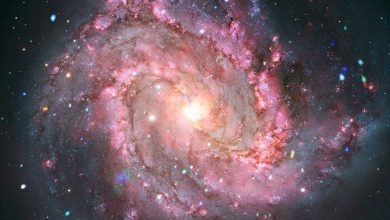 Галактика M83 в рентгеновском и оптическом свете.
