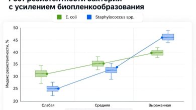 Динамика резистентности бактерий при различных уровнях биоплёнкообразования