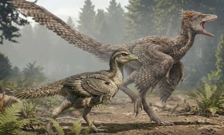 Zhengheornis buyu