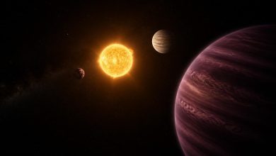 Иллюстрация системы TOI-201