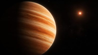сверхъюпитер Gaia23bra b