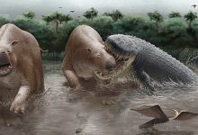 Реконструкция нападения Purussaurus neivensis на Pericotoxodon platignathus
