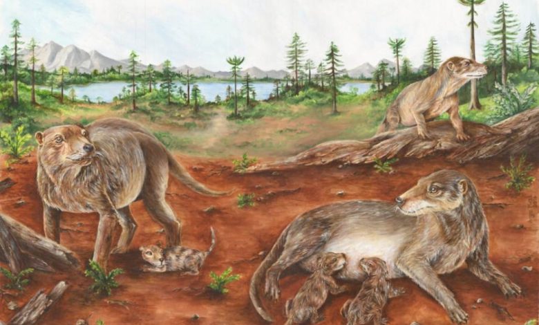 Chiniquodon theotonicus