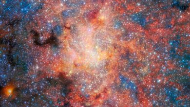 Поле IRS 3 (изображение NIRCam и MIRI)