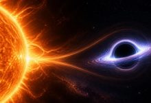 может ли Солнце стать черной дырой