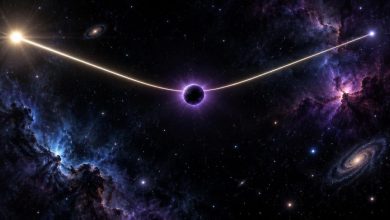 Объекты с отрицательной массой могут существовать без противоречий с законами физики