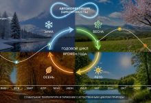 пейзаж с четырьмя временами года в одном кадре