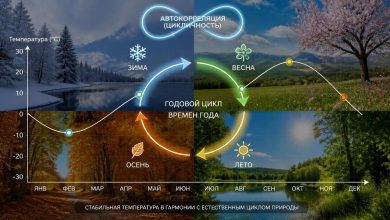 пейзаж с четырьмя временами года в одном кадре
