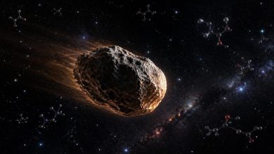 метеориты хранят десятки тысяч органических соединений