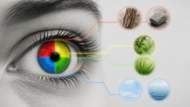 Секрет нашего цветового зрения