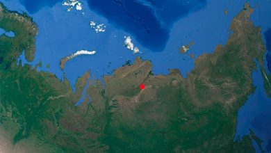 Лукунский лес