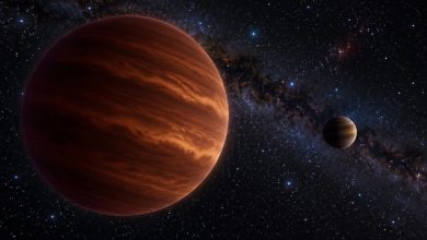 Наблюдения на VLT выявили планету-гигант PALTA-1 b у коричневого карлика