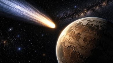 Комета несется сквозь космос к древней планете Земля.