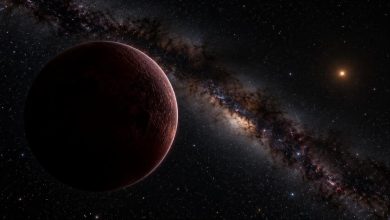 2026 ED138