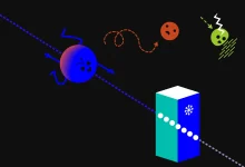 Нобелевская премия по физике 2026 года присуждена за открытие высокоэнергетических нейтрино