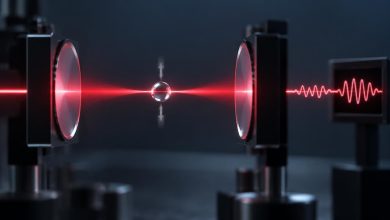 Квантовая запутанность сферы и света