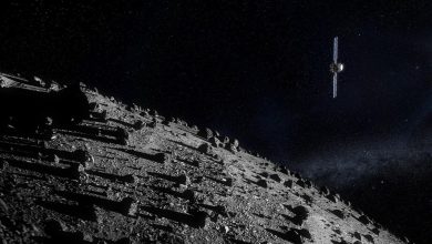 hera