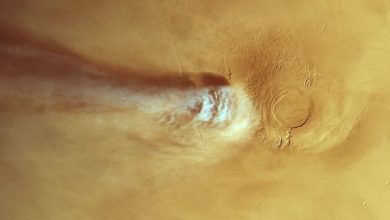 Mars Express наблюдал самое впечатляющее облако на Марсе.
