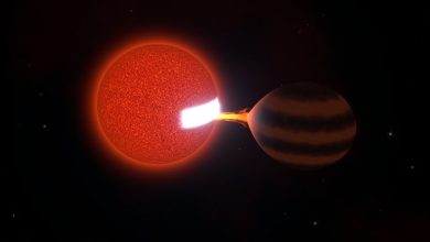 Художественное изображение ZTF J0440+2325, коричневого карлика