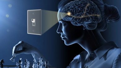 Нобелевская премия по медицине 2026