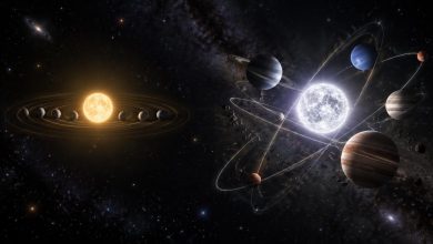 Две семьи планетных систем: как звезда определяет судьбу своих миров