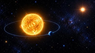 В двойной системе 70 Змееносца нашли место для планеты земного размера